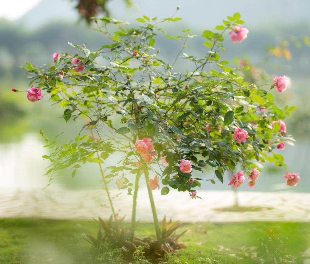 Serena riverside homestay - Tràng An Ninh Binh Eksteriør bilde
